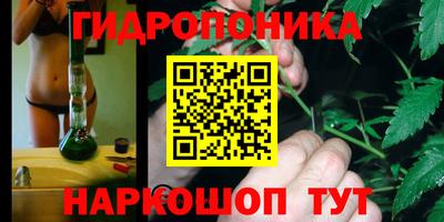 гидропоника Кунгур