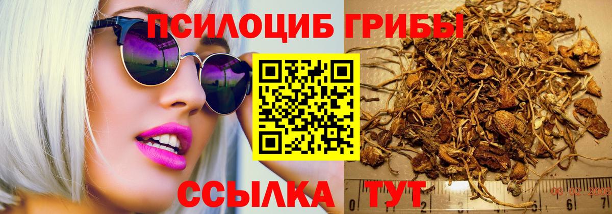 Галлюциногенные грибы Psilocybine cubensis Шатура