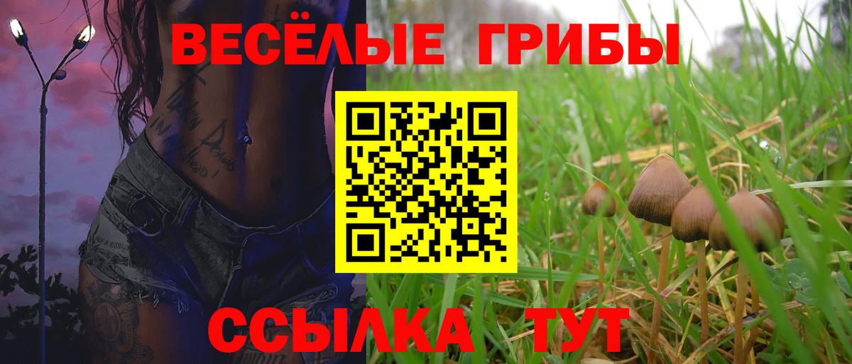 Шатура  Галлюциногенные грибы MAGIC MUSHROOMS  Вход с VPN  Галлюциногенные грибы ЛСД 